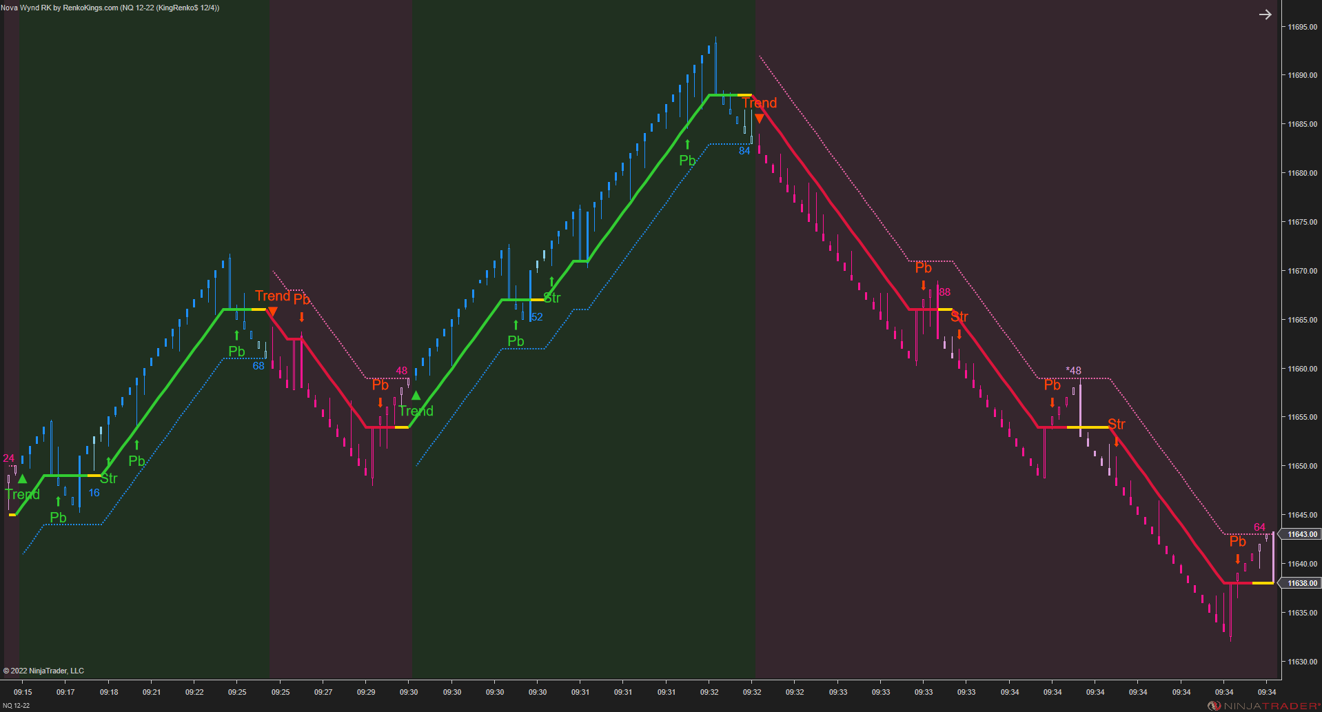 Solar Wave RK – NinjaTrader Renko Trend Indicator