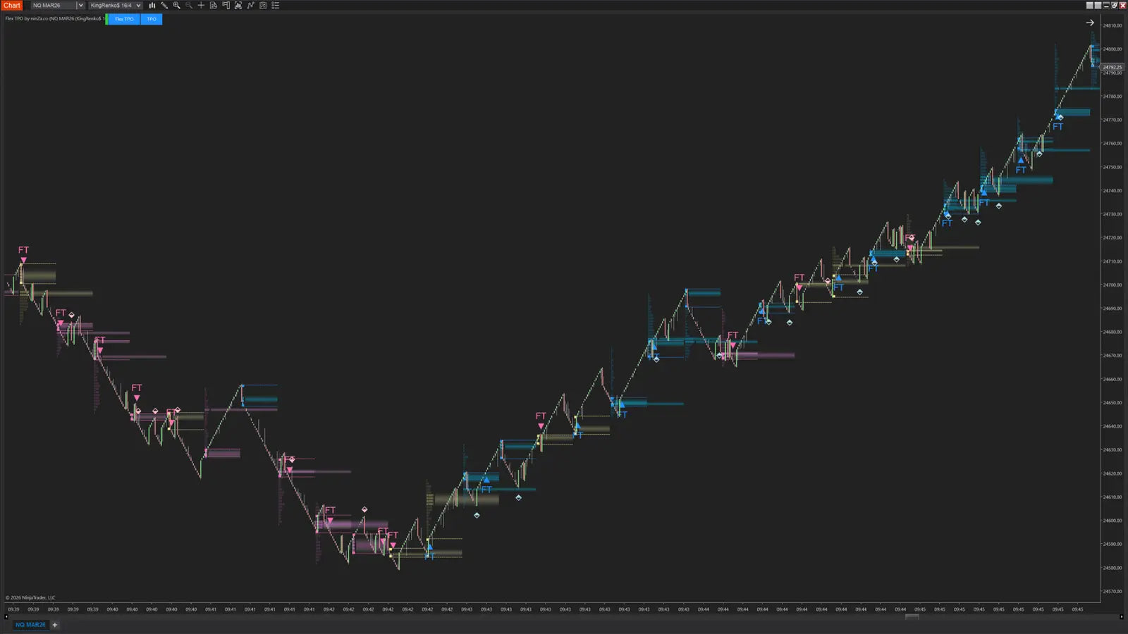 Flex TPO – Structured Post-Breakout Indicator for NinjaTrader 8