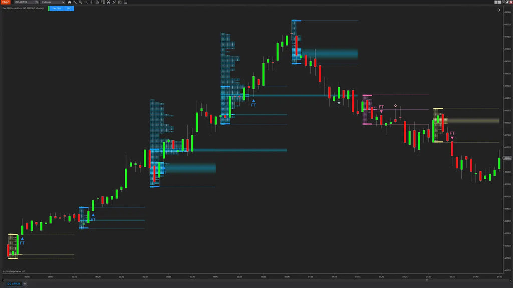 Flex TPO – Structured Post-Breakout Indicator for NinjaTrader 8