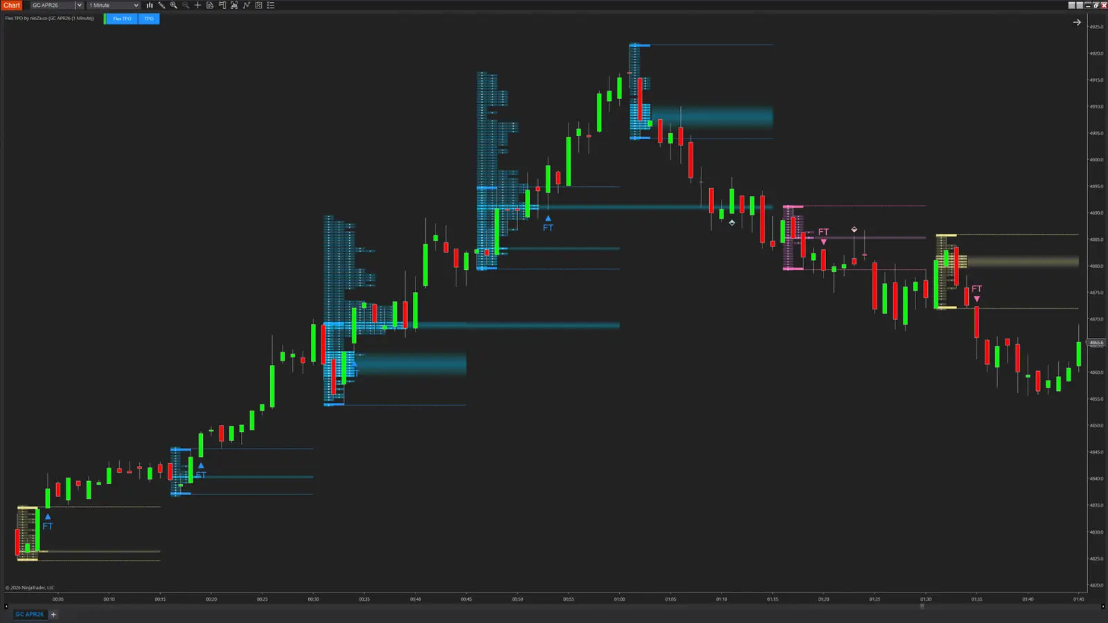 Flex TPO – Structured Post-Breakout Indicator for NinjaTrader 8