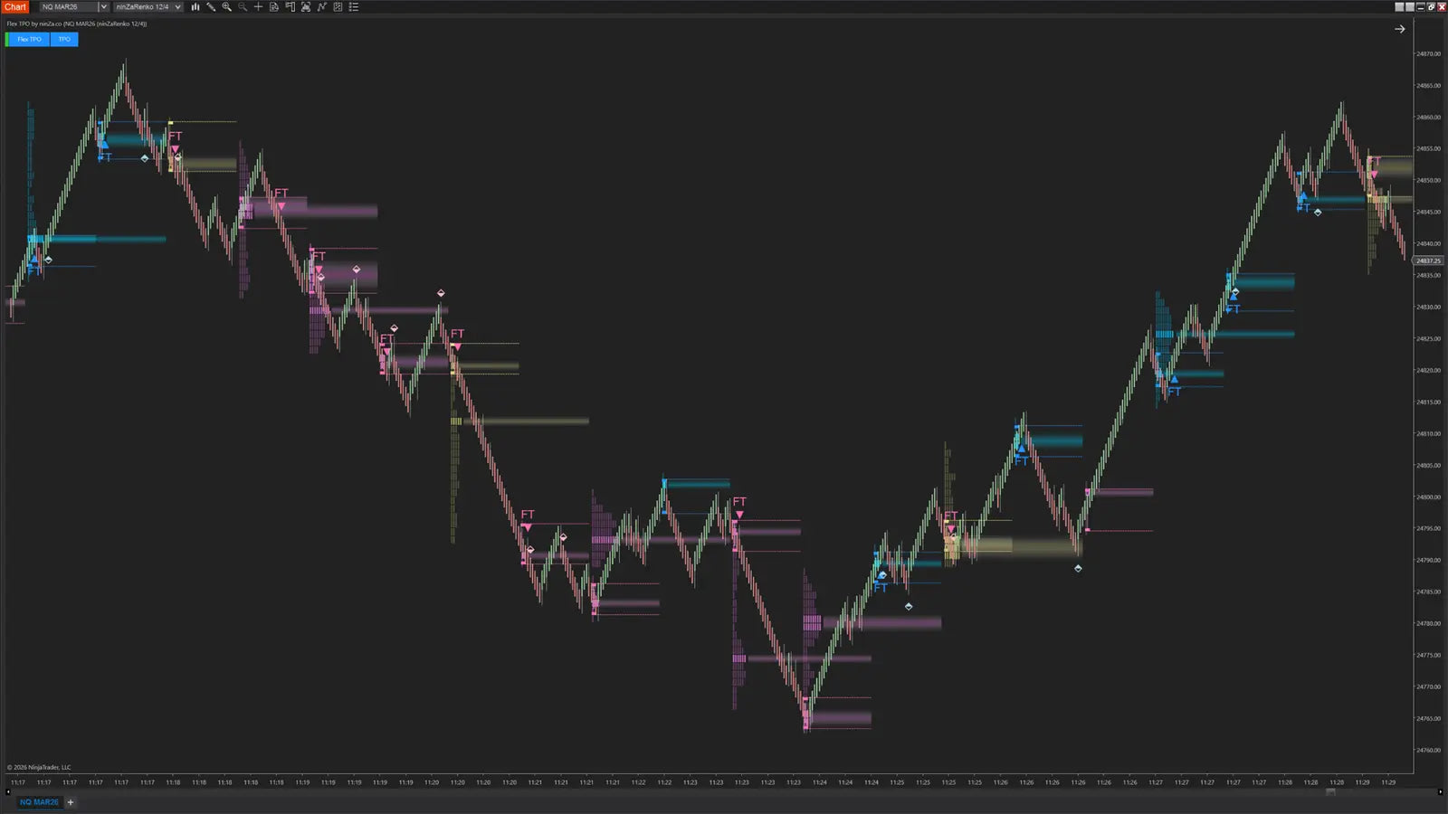Flex TPO – Structured Post-Breakout Indicator for NinjaTrader 8