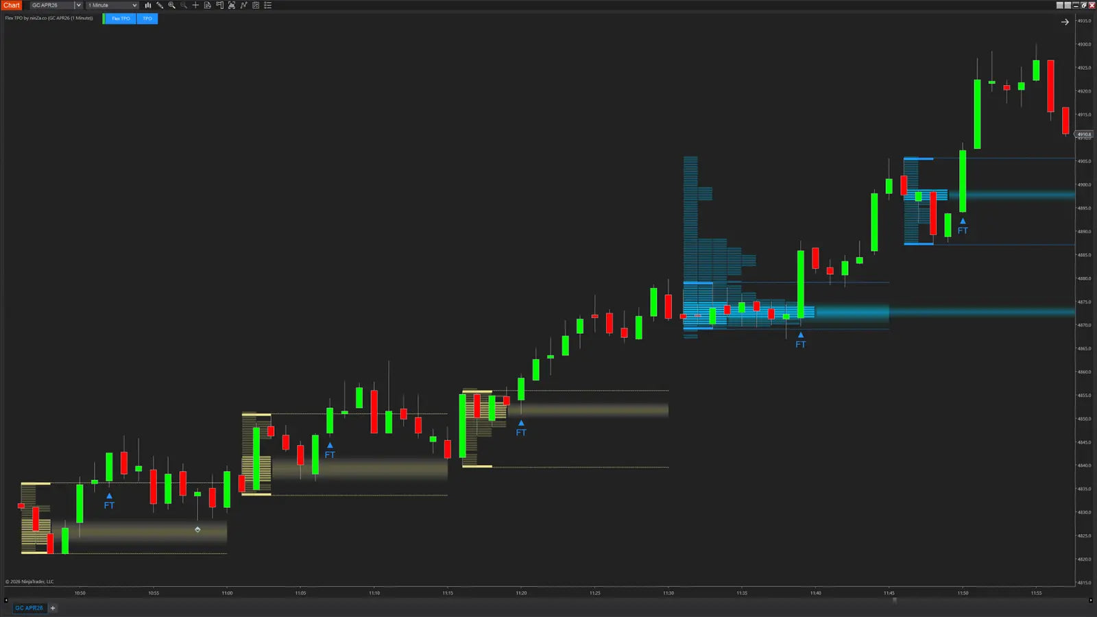 Flex TPO – Structured Post-Breakout Indicator for NinjaTrader 8