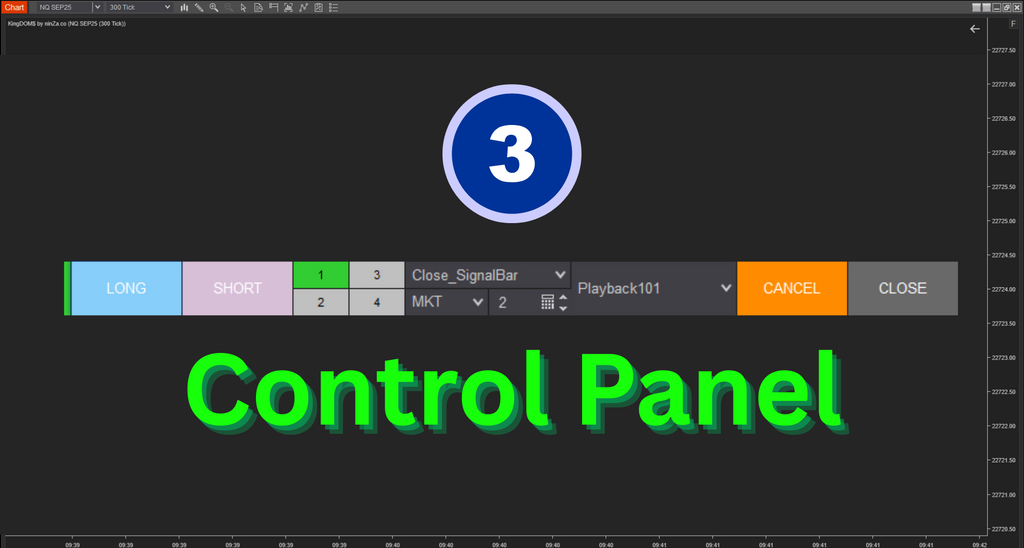 KingDOM$ - Depth of Market (DOM) system for NinjaTrader 8