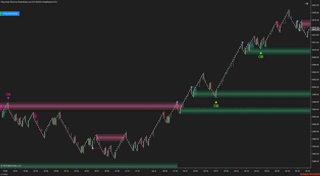 King Order Block – NinjaTrader 8 Order Block Indicator for Renko Charts