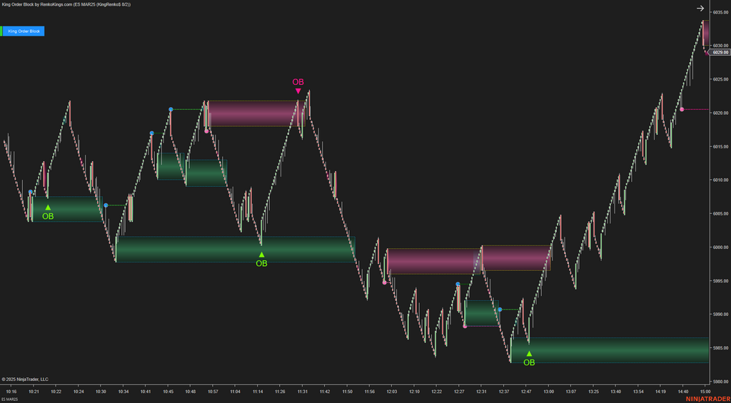 King Order Block – NinjaTrader 8 Order Block Indicator for Renko Charts
