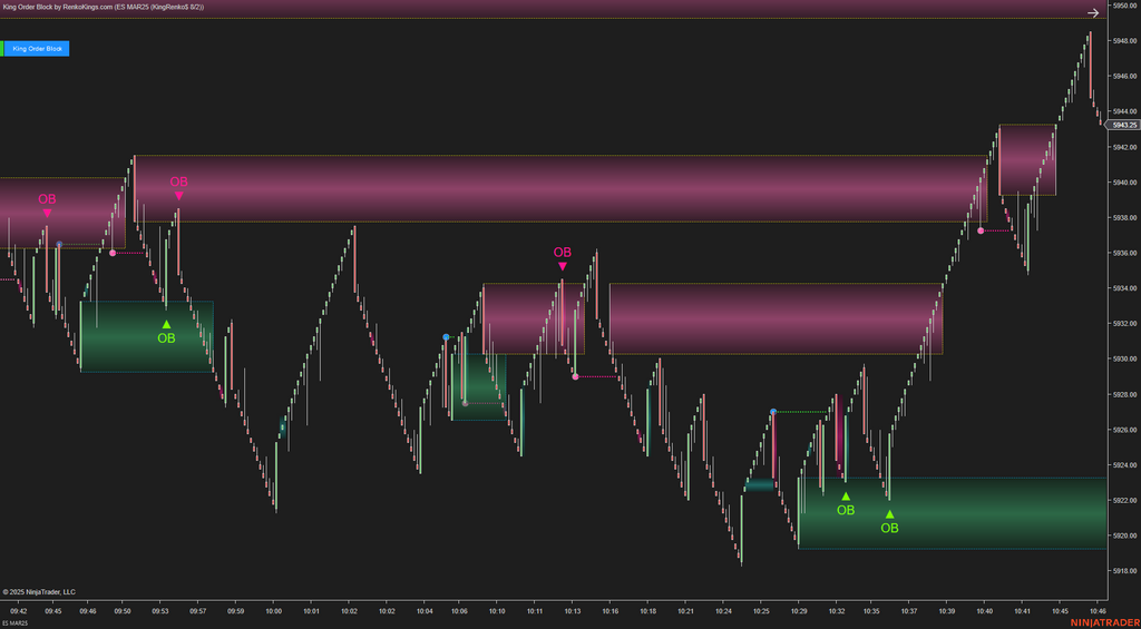 King Order Block – NinjaTrader 8 Order Block Indicator for Renko Charts