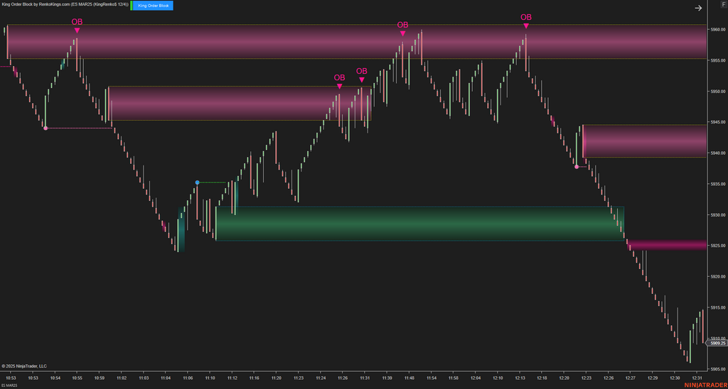 King Order Block – NinjaTrader 8 Order Block Indicator for Renko Charts