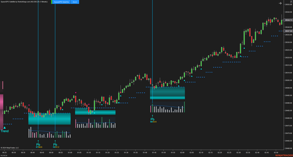 SpaceGPS Satellite - Ninjatrader 8 Order Flow