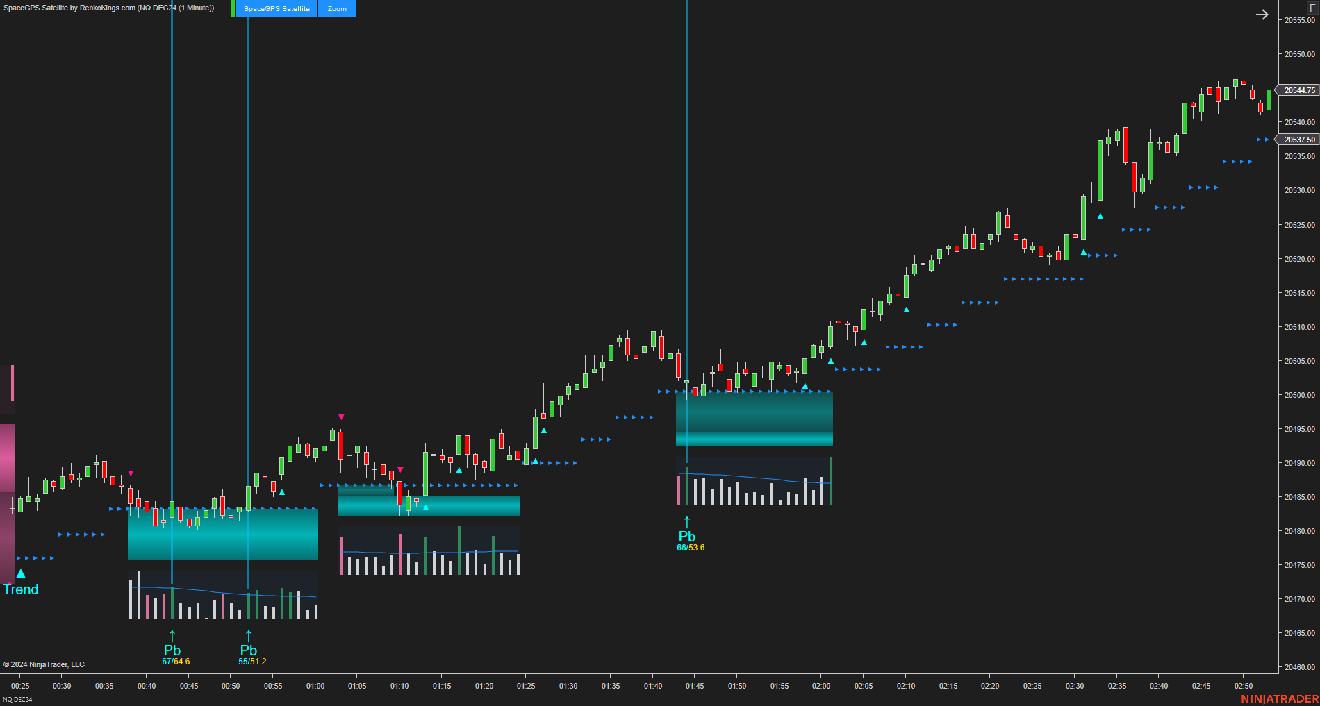 SpaceGPS Satellite - Ninjatrader 8 Order Flow