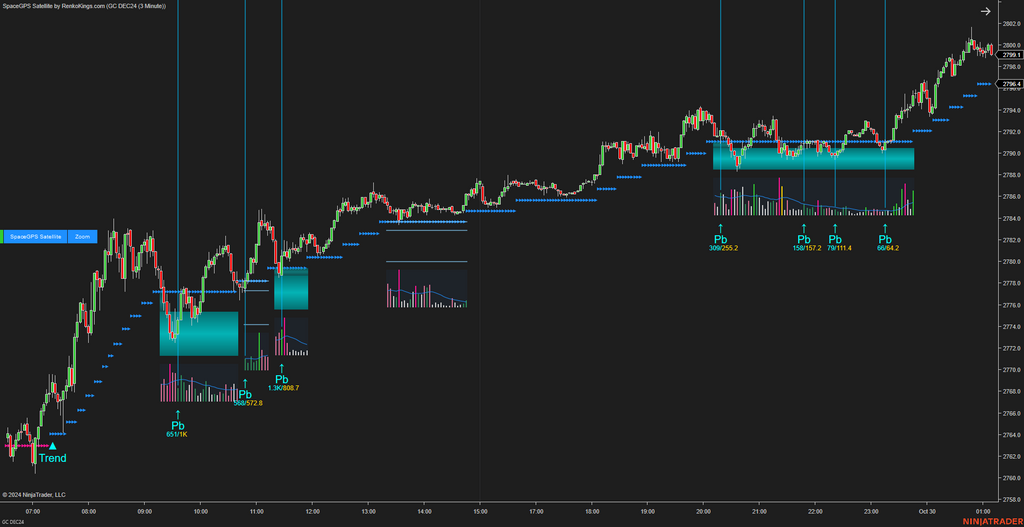 SpaceGPS Satellite - Ninjatrader 8 Order Flow