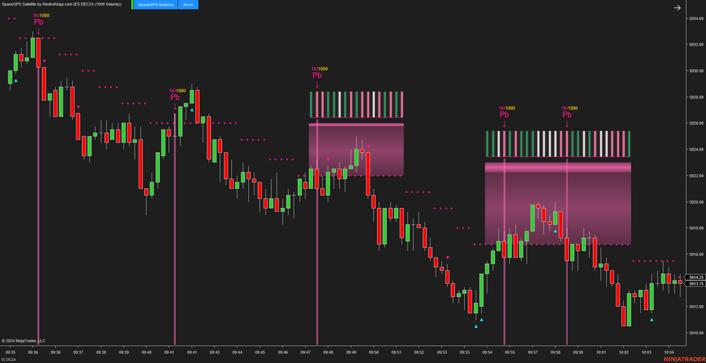 SpaceGPS Satellite - Ninjatrader 8 Order Flow