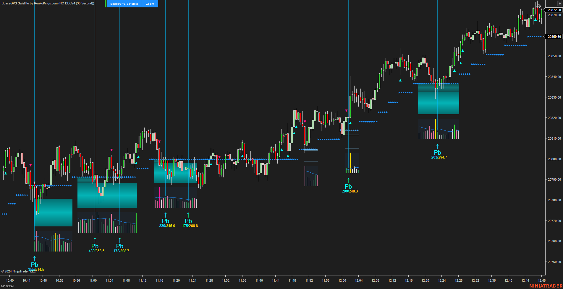 SpaceGPS Satellite - Ninjatrader 8 Order Flow