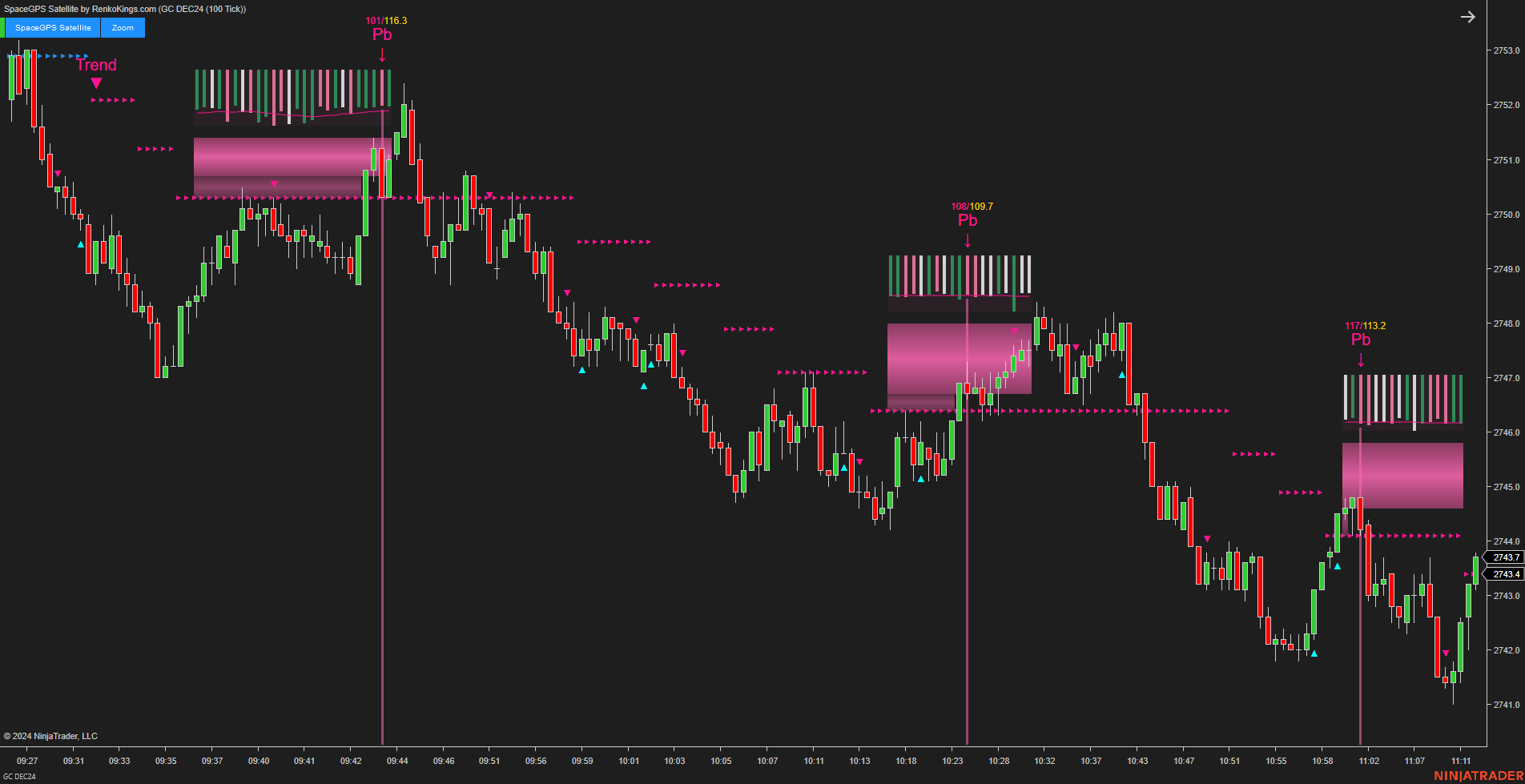 SpaceGPS Satellite - Ninjatrader 8 Order Flow