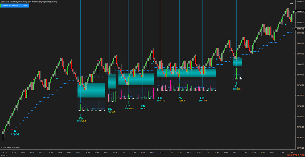 SpaceGPS Satellite - Ninjatrader 8 Order Flow