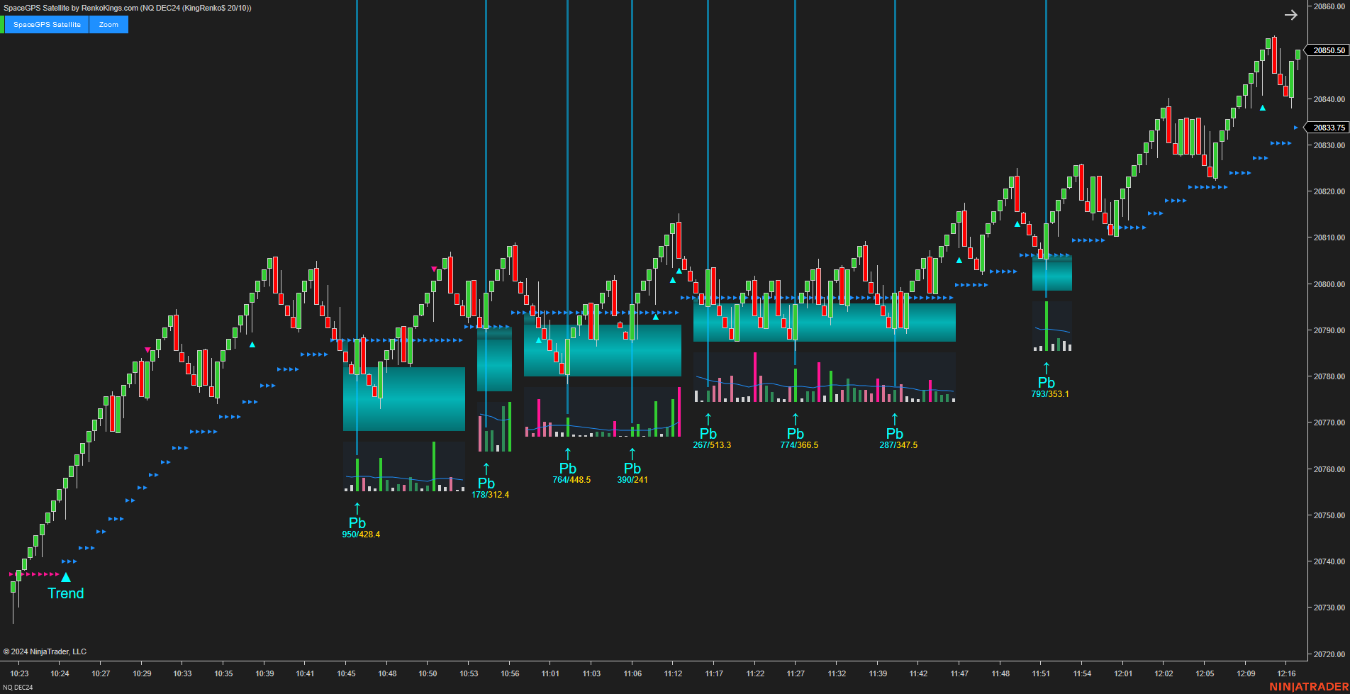 SpaceGPS Satellite - Ninjatrader 8 Order Flow