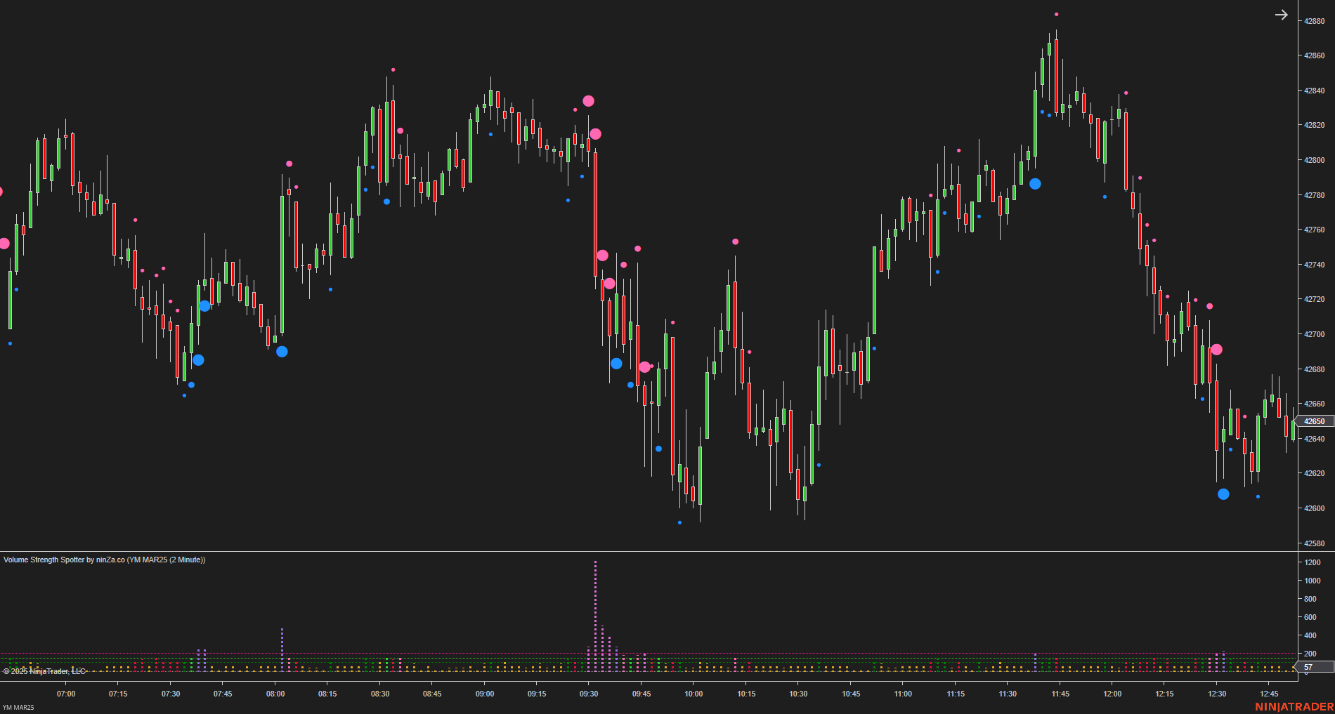 Volume Strength Spotter - Volume Indicator NinjaTrader 8