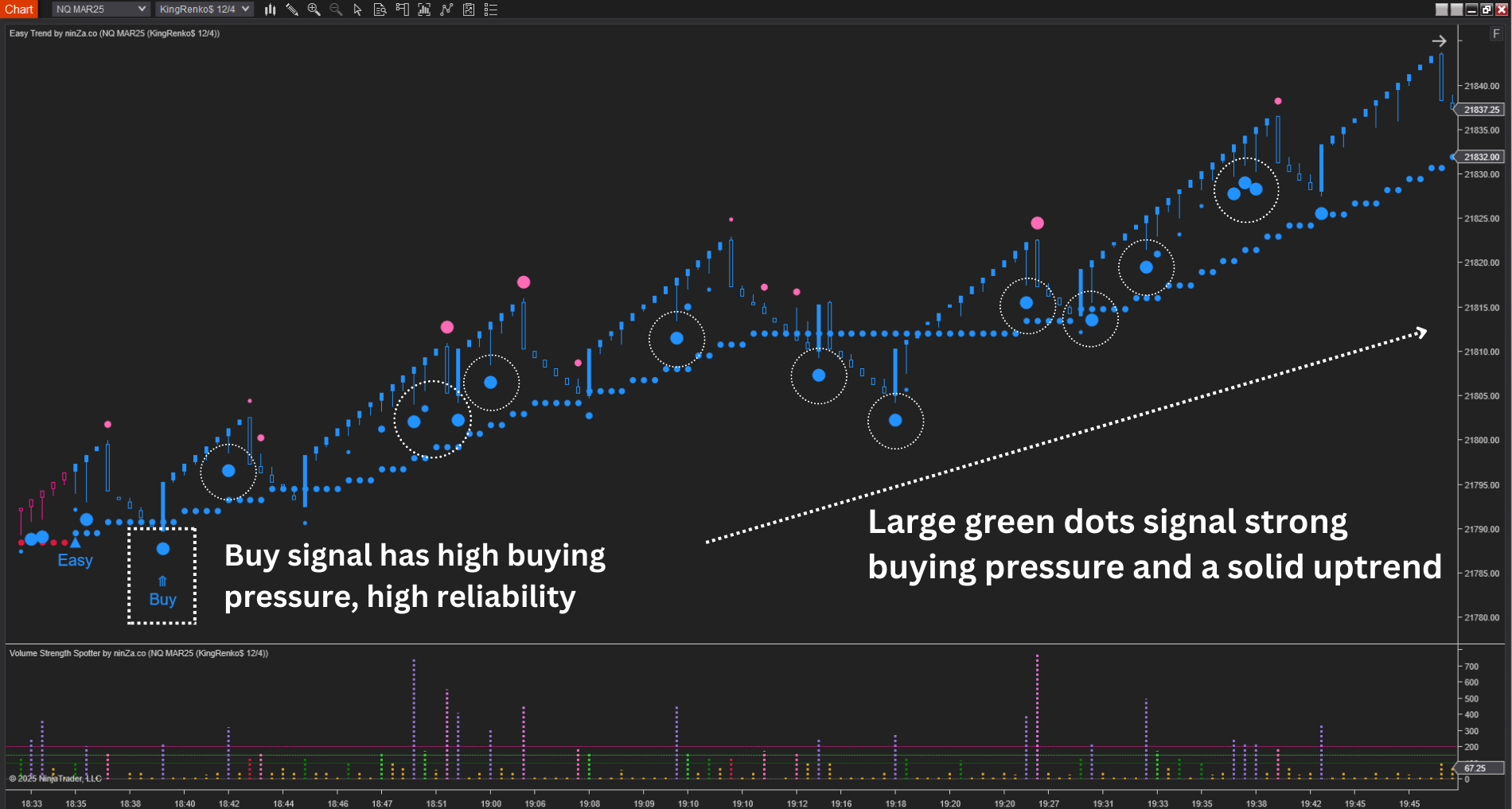 Volume Strength Spotter - Volume Indicator NinjaTrader 8