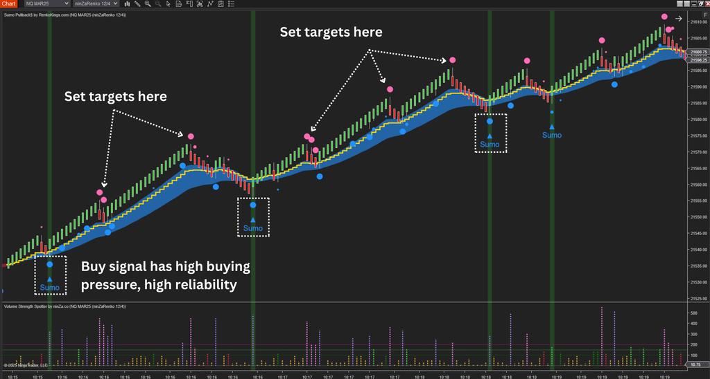 Volume Strength Spotter - Volume Indicator NinjaTrader 8