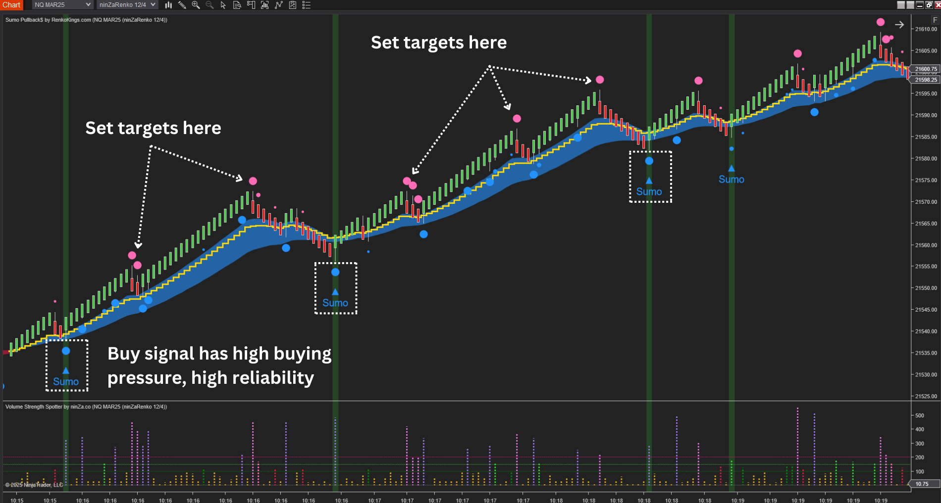 Volume Strength Spotter - Volume Indicator NinjaTrader 8
